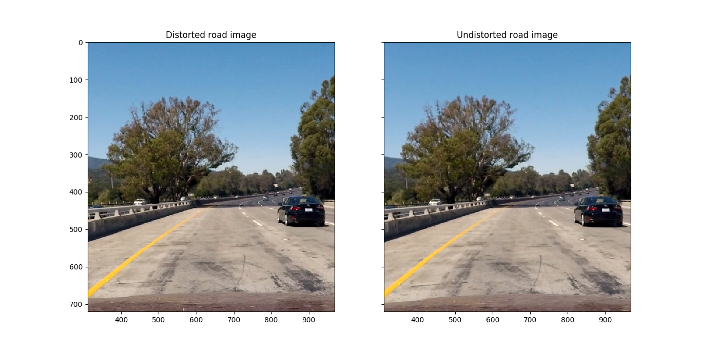 Undistorted Road
